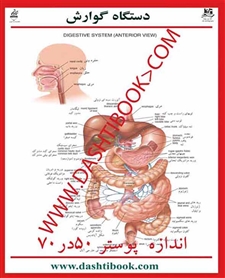 پوستر آناتومی گوارش (فارسی و انگلیسی)