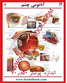 پوستر آناتومی چشم